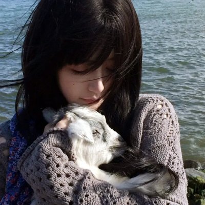 十三个原因第二季